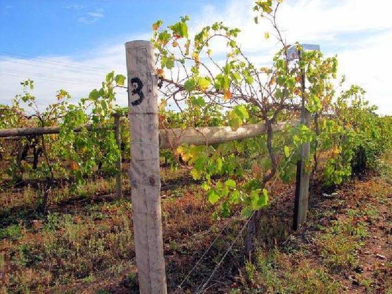 Lot 1 Etiwanda Avenue, Mildura VIC 3500