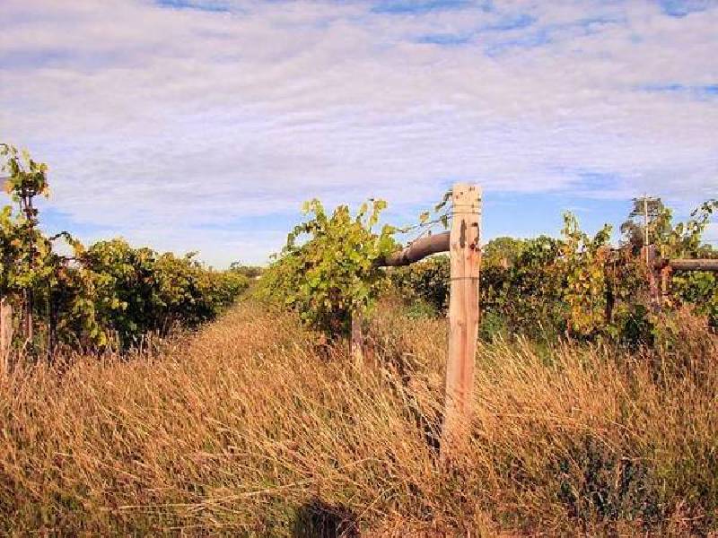 Lot 1 Etiwanda Avenue, Mildura VIC 3500