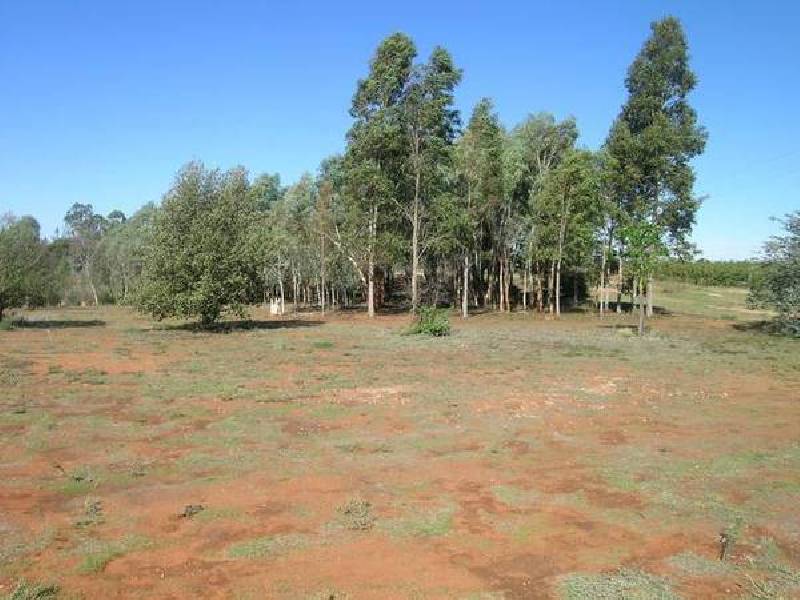 17c Nerrum Avenue, Red Cliffs VIC 3496