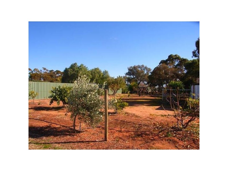 Morpung Avenue, Irymple VIC 3498