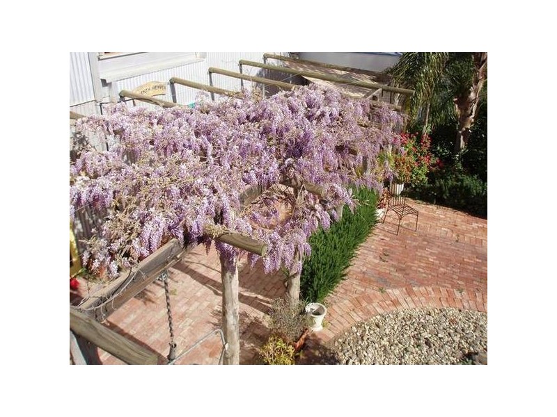 14-16 Olive Avenue, Mildura VIC 3500