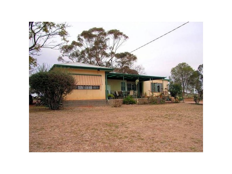 Box Avenue, Merbein South VIC 3505