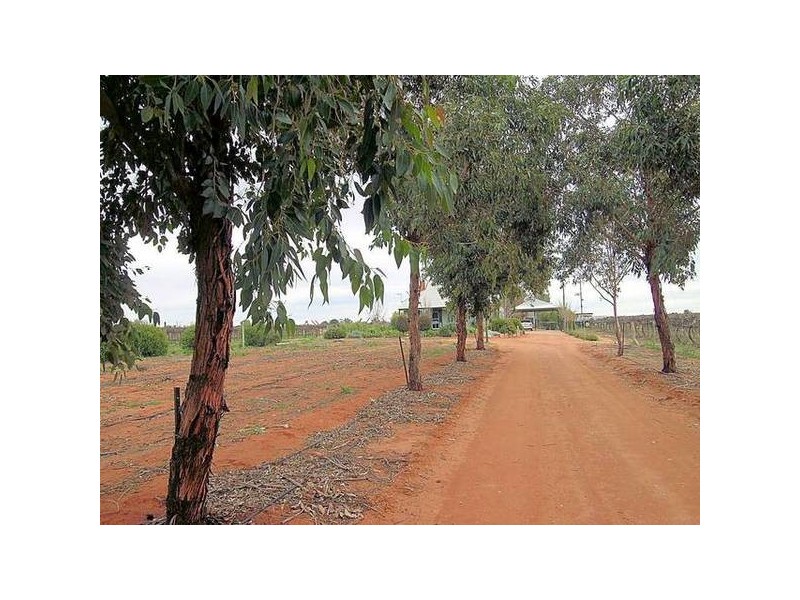 Paschendale Avenue, Merbein VIC 3505