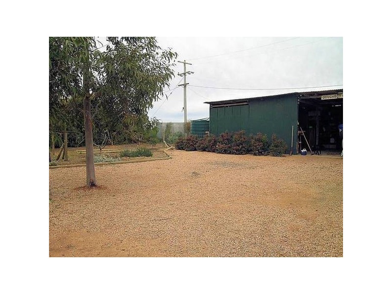 Paschendale Avenue, Merbein VIC 3505