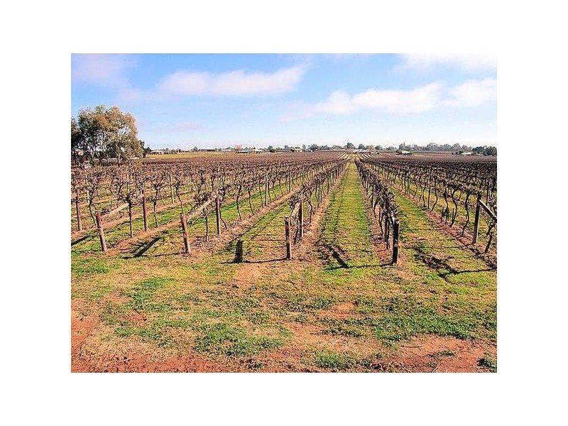 62 Ginquam Avenue, Nichols Point VIC 3501