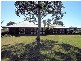 396 Doogan Road, Dareton NSW 2717
