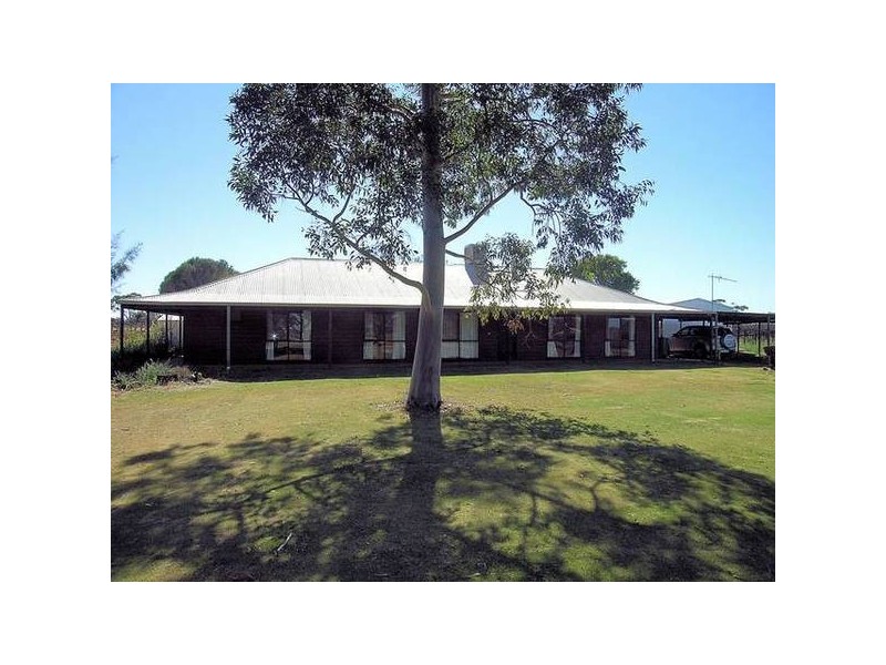 396 Doogan Road, Dareton NSW 2717