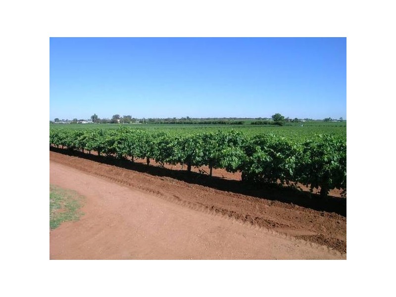 132 Sturt Highway, Merbein VIC 3505