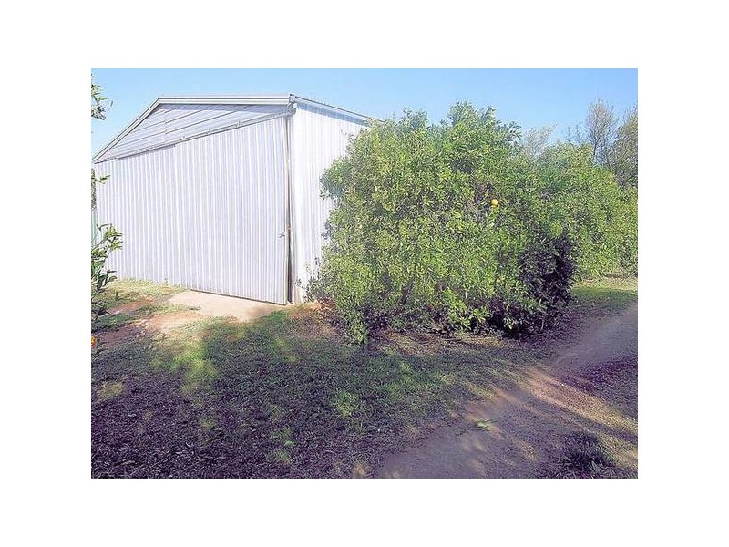 55 Myall Street, Red Cliffs VIC 3496