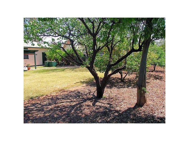 31 Reilly Street, Merbein VIC 3505