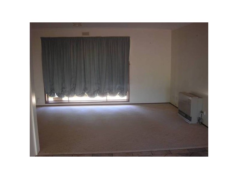 264 Morpung Avenue, Irymple VIC 3498