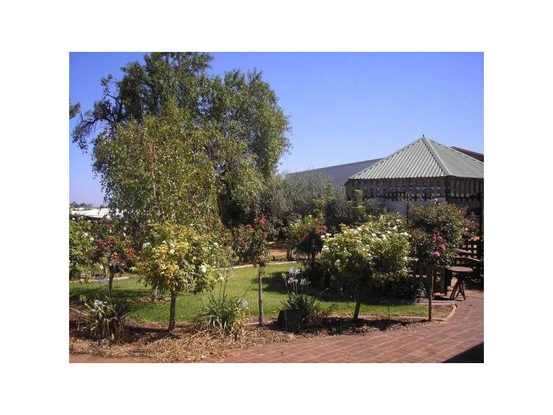 264 Morpung Avenue, Irymple VIC 3498