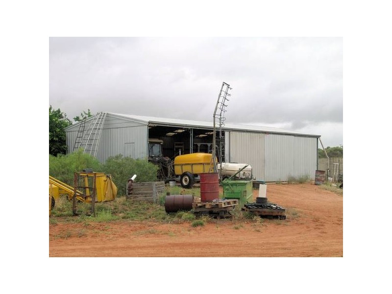 Blk 328 Citrus Road, Dareton NSW 2717