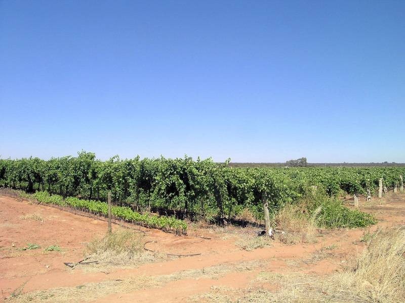 Blk 681 Boomerang Avenue, Cardross VIC 3496