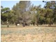 Lots Golf Links Estate, Robinvale VIC 3549