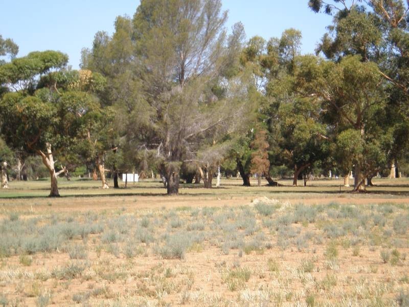 Lots Golf Links Estate, Robinvale VIC 3549