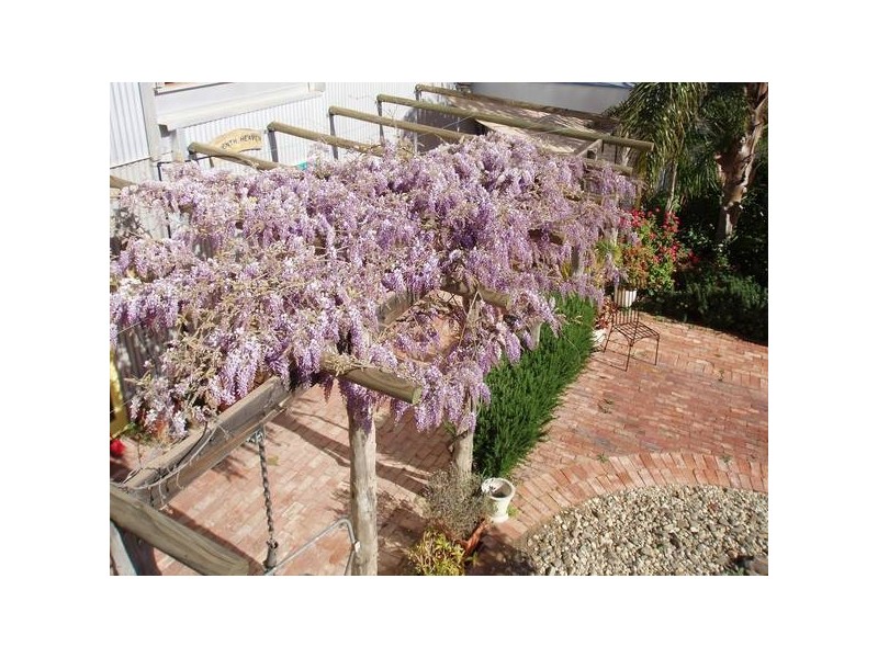 14-16 Olive Avenue, Mildura VIC 3500