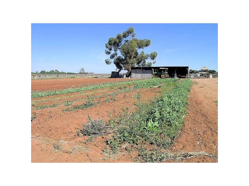 132 Sturt Highway, Merbein VIC 3505