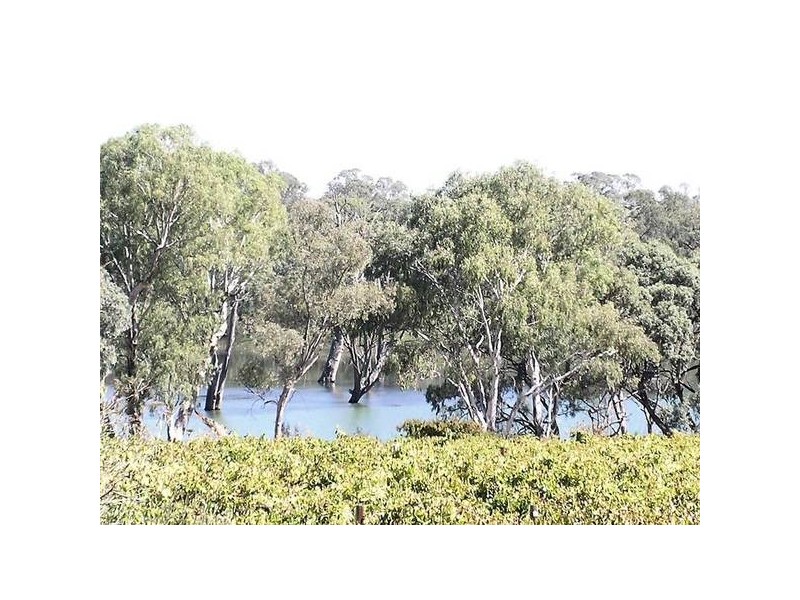 18 Riverview Rise, Gol Gol NSW 2738