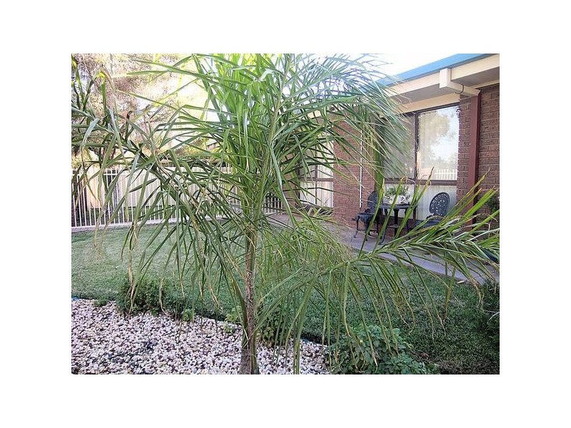 1-4/235 Deakin Avenue, Mildura VIC 3500