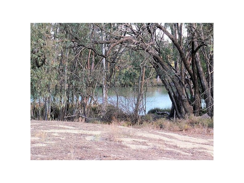Lot 1 Williamsville Road, Curlwaa NSW 2648