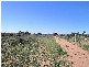 2 Blaby Lane, Merbein VIC 3505