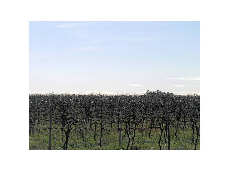 BLK 103 Stewart Rod, Red Cliffs VIC 3496