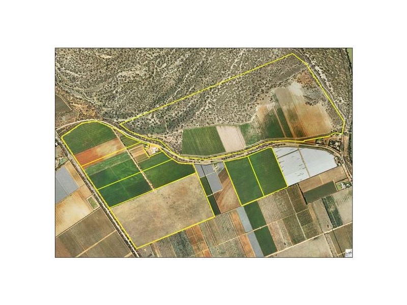 Cnr Murray Valley Highway & Tol Tol Road, Robinvale VIC 3549