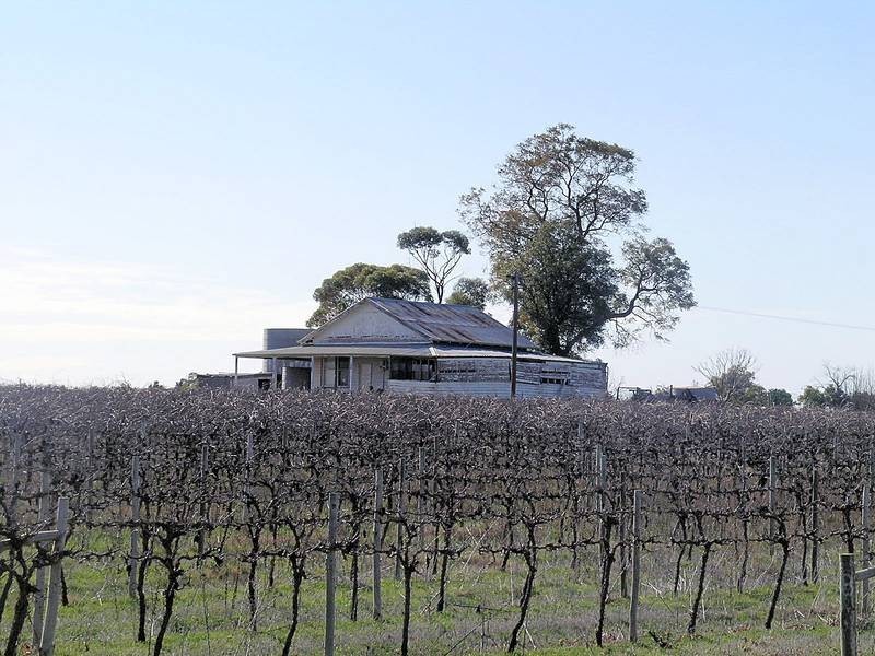 103 Stewart Road, Red Cliffs VIC 3496