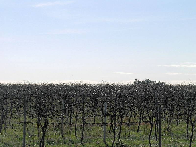 103 Stewart Road, Red Cliffs VIC 3496