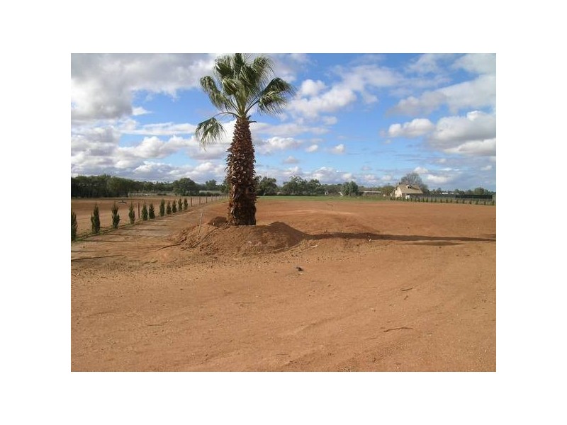 3 Cureton Avenue, Mildura VIC 3500