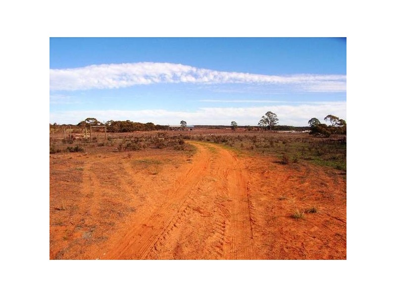 491D Broadstock Road, Red Cliffs VIC 3496