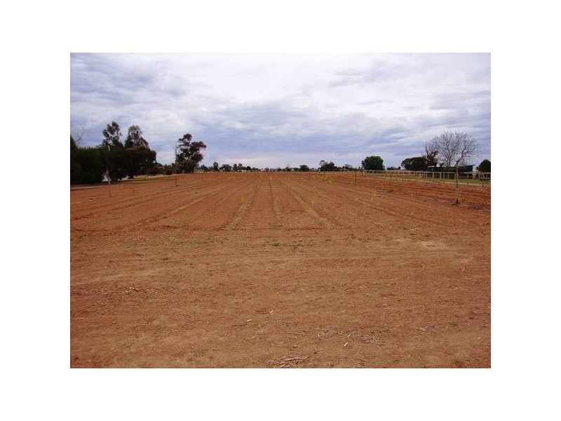 2 Karadoc Avenue, Mildura VIC 3500