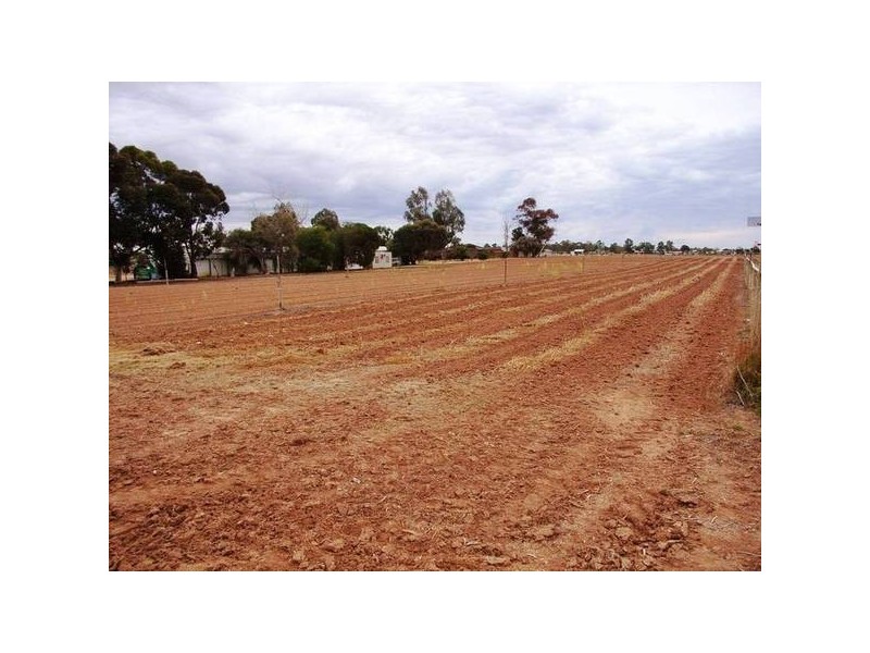 2 Karadoc Avenue, Mildura VIC 3500