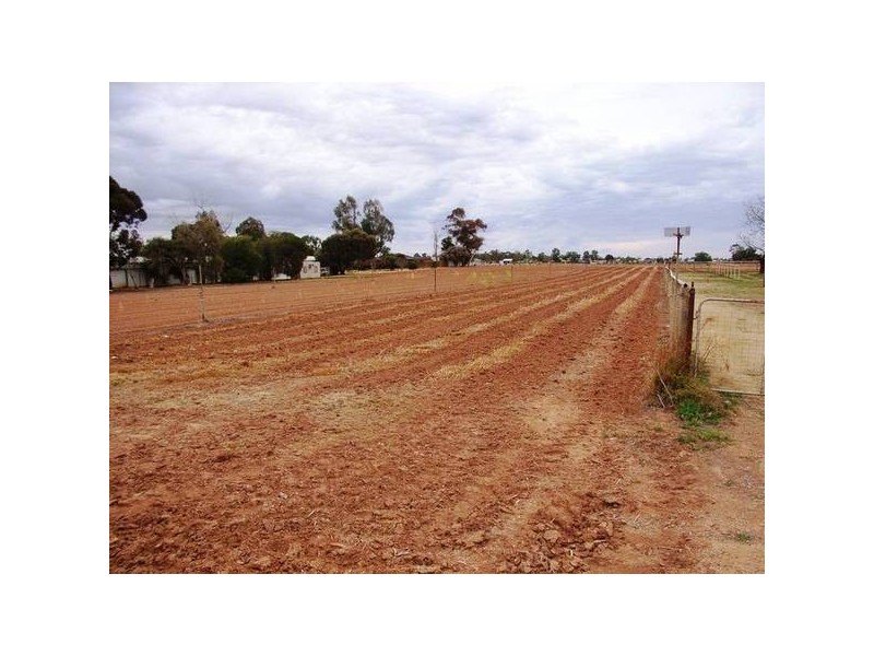 2 Karadoc Avenue, Mildura VIC 3500