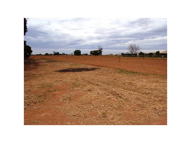 2 Karadoc Avenue, Mildura VIC 3500