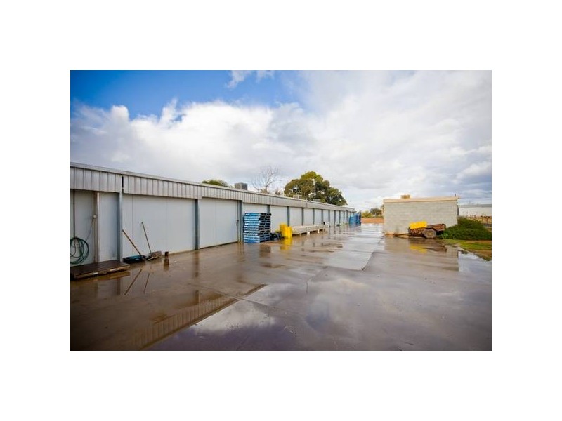 729 Karadoc Avenue, Irymple VIC 3498