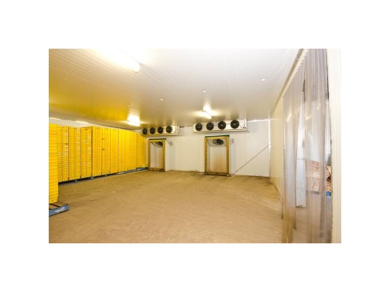 729 Karadoc Avenue, Irymple VIC 3498