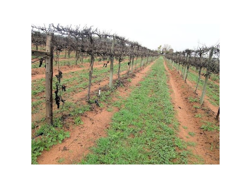 363 & 365 Myall Street, Red Cliffs VIC 3496