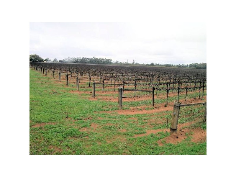 363 & 365 Myall Street, Red Cliffs VIC 3496