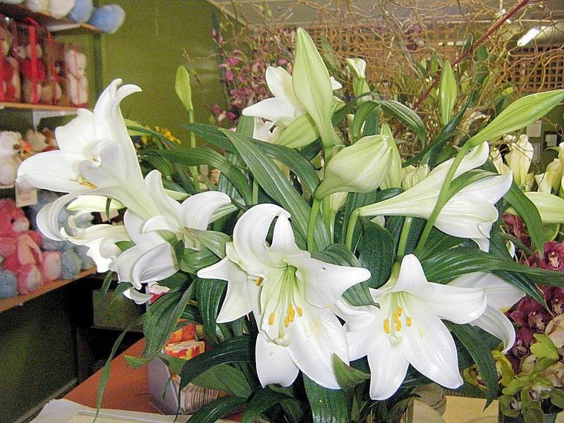 206b Deakin Avenue, Mildura VIC 3500