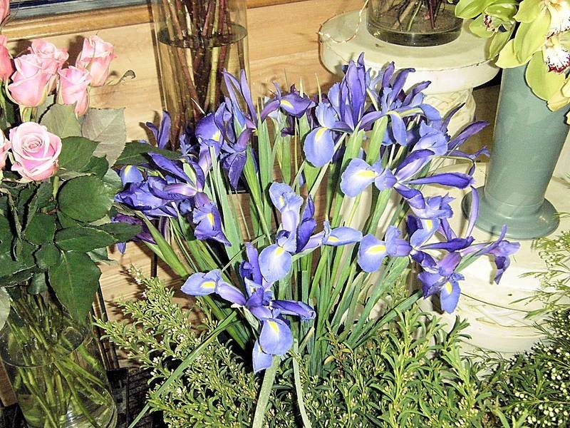 206b Deakin Avenue, Mildura VIC 3500