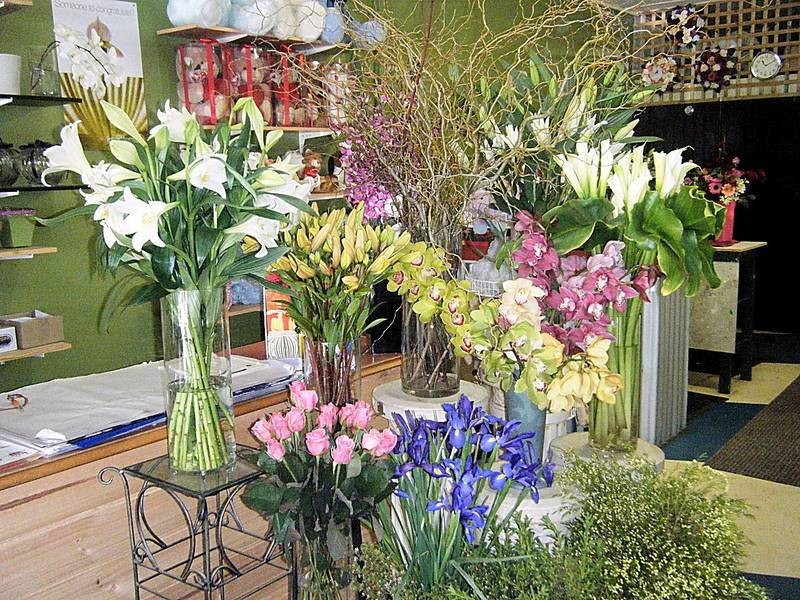 206b Deakin Avenue, Mildura VIC 3500