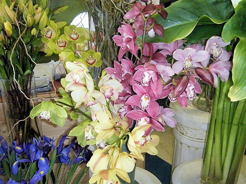 206b Deakin Avenue, Mildura VIC 3500