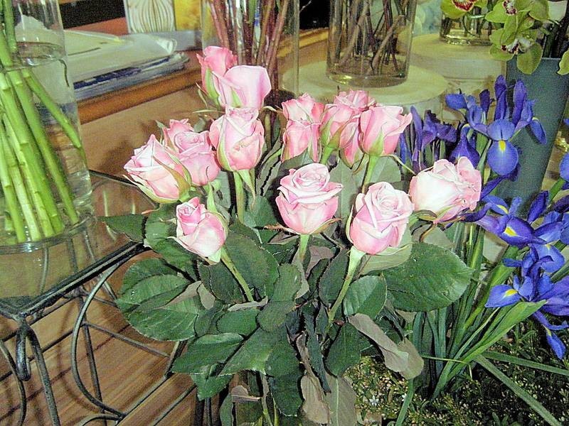 206b Deakin Avenue, Mildura VIC 3500