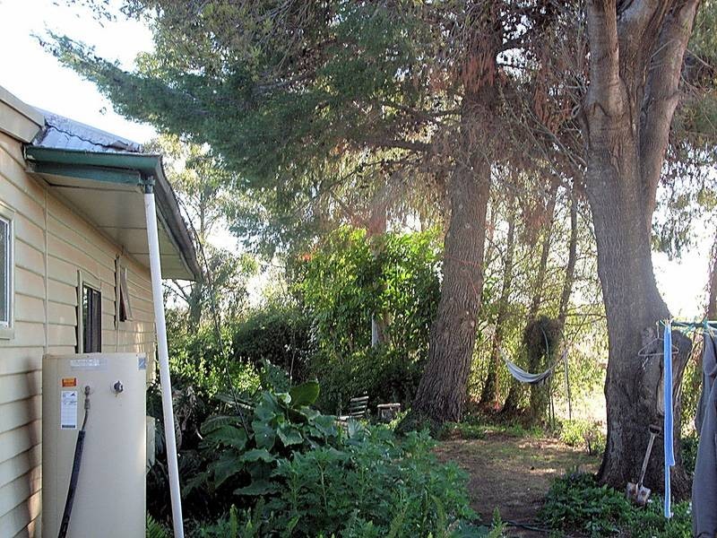 277 Reserve Road East, Dareton NSW 2717