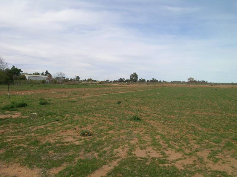 3 Creaton Lane, Irymple VIC 3498