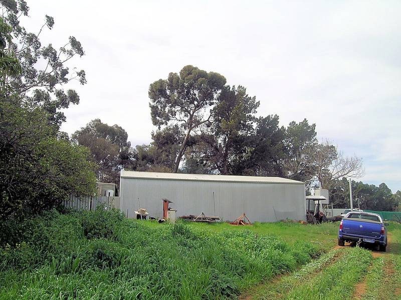 12 Gothorp Road, Irymple VIC 3498