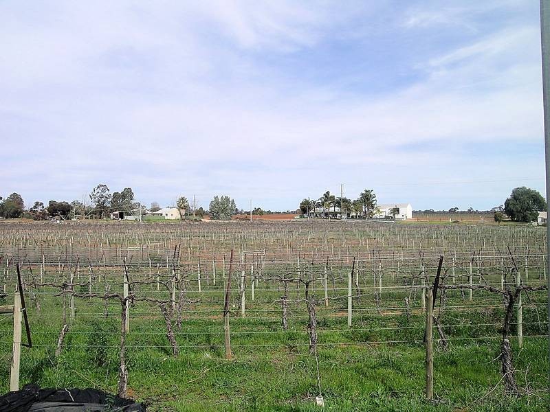 12 Gothorp Road, Irymple VIC 3498