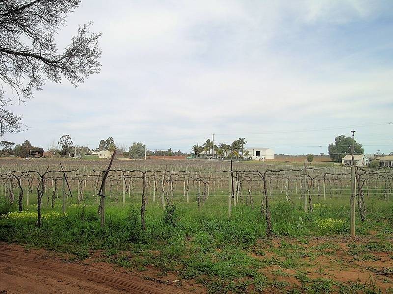 12 Gothorp Road, Irymple VIC 3498